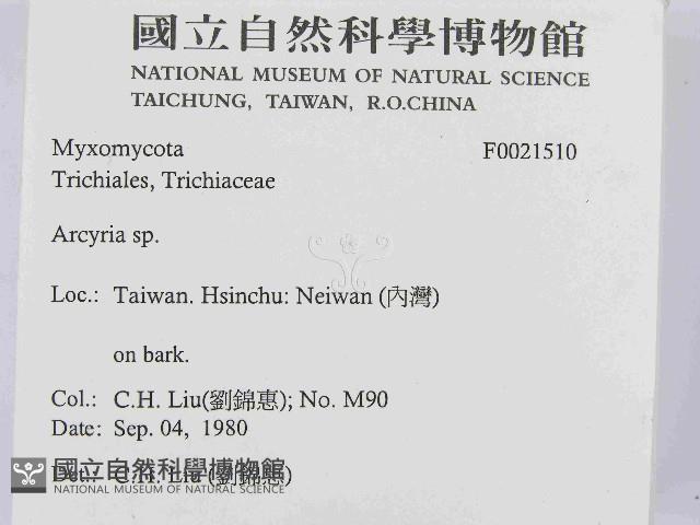 登錄號:F0021510藏品圖，第2張
