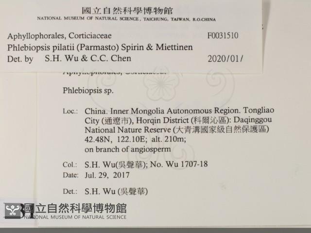 登錄號:F0031510藏品圖，第1張