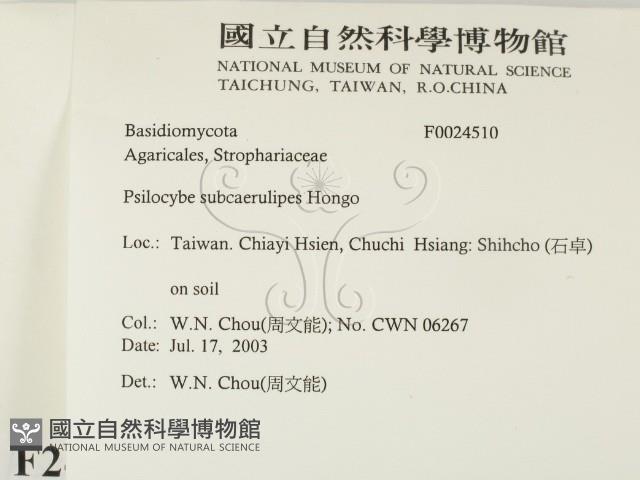 登錄號:F0024510藏品圖，第2張