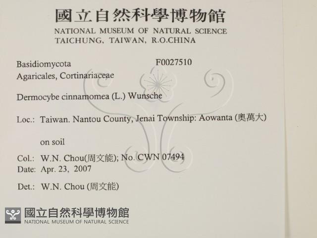 登錄號:F0027510藏品圖，第2張