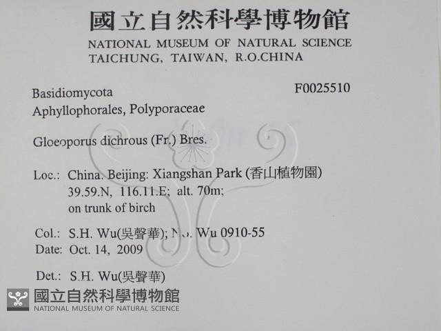 登錄號:F0025510藏品圖，第2張