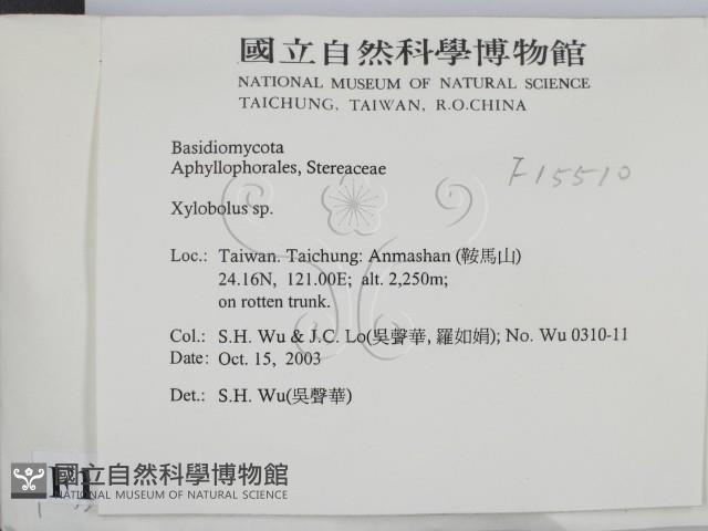 登錄號:F0015510藏品圖，第2張