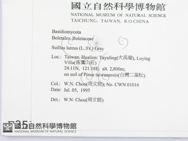 登錄號:F0003510藏品圖，第2張