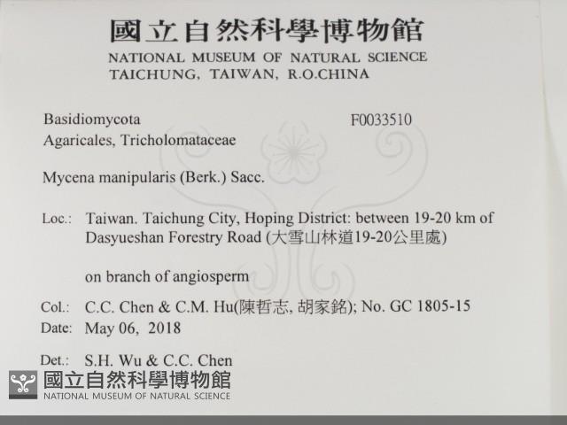 登錄號:F0033510藏品圖，第2張