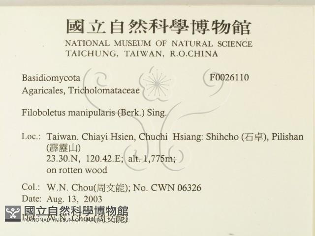 登錄號:F0026110藏品圖，第2張