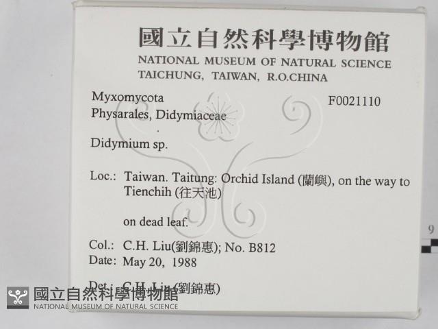 登錄號:F0021110藏品圖，第2張