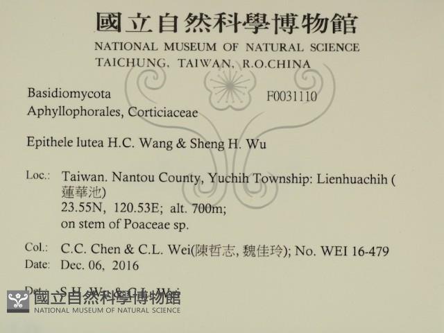 登錄號:F0031110藏品圖，第2張