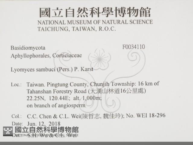 登錄號:F0034110藏品圖，第2張