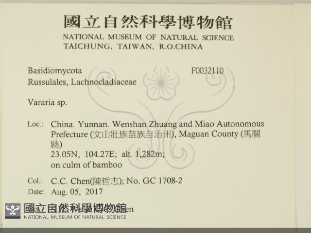 登錄號:F0032110藏品圖，第2張