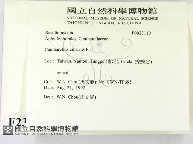 登錄號:F0023110藏品圖，第2張