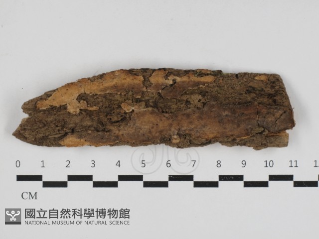 登錄號:F0033110藏品圖，第2張