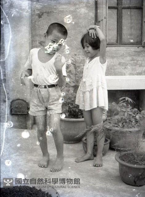 1950至2006年台灣常民生活藏品圖，第1張