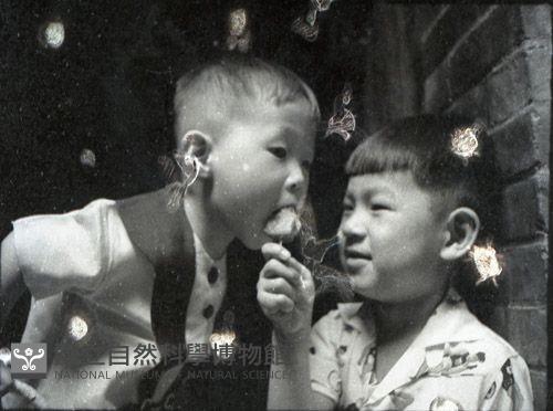 1950至2006年台灣常民生活藏品圖，第1張