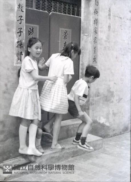 1950至2006年臺灣常民生活藏品圖，第1張