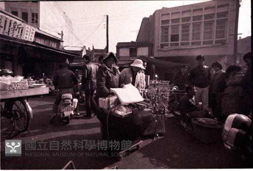 1950至2006年臺灣常民生活藏品圖，第1張