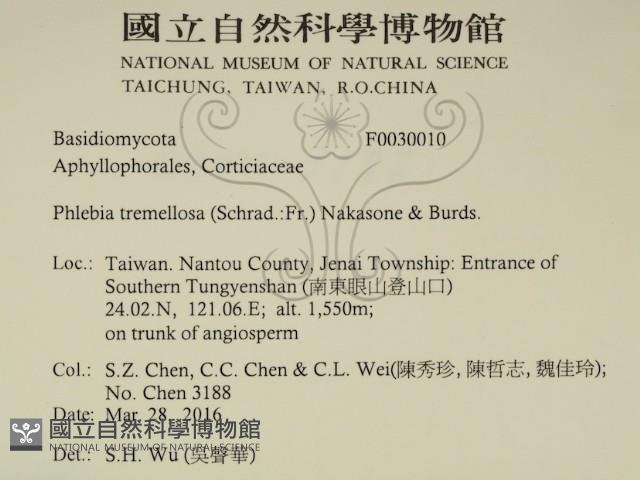 登錄號:F0030010藏品圖，第2張