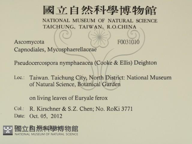 登錄號:F0031010藏品圖，第2張