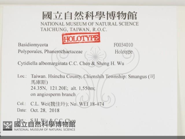 登錄號:F0034010藏品圖，第2張