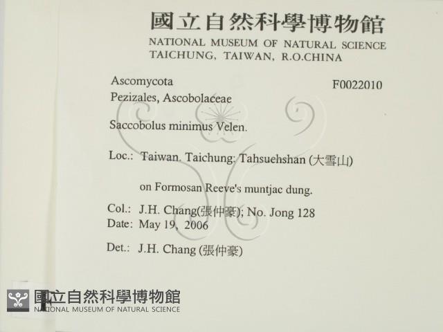 登錄號:F0022010藏品圖，第2張