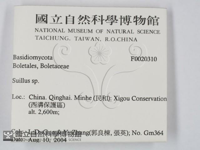 登錄號:F0020310藏品圖，第2張