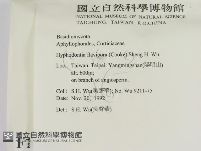 登錄號:F0010310藏品圖，第2張