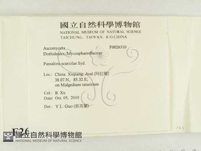 登錄號:F0026310藏品圖，第2張