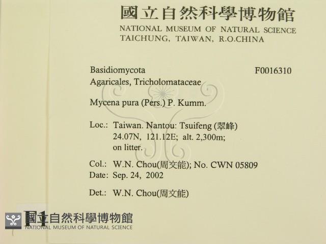 登錄號:F0016310藏品圖，第2張