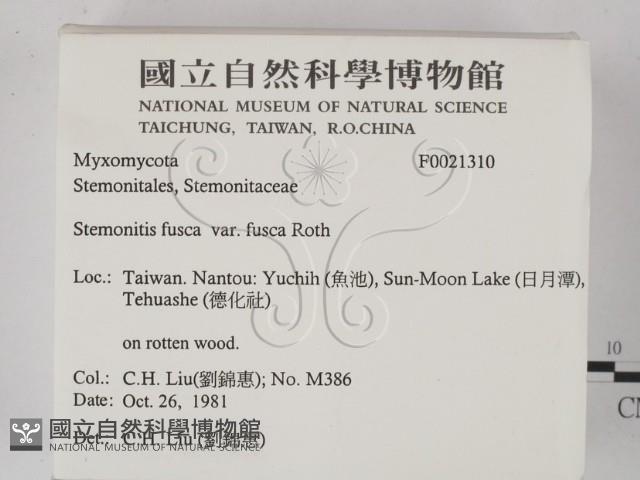 登錄號:F0021310藏品圖，第2張