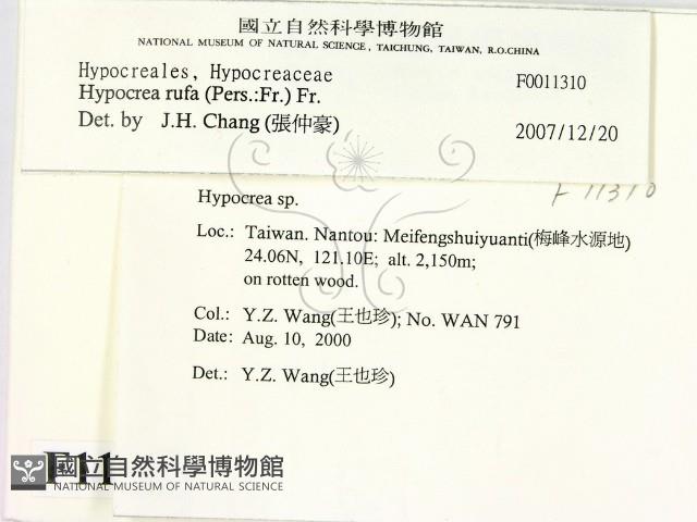 登錄號:F0011310藏品圖，第2張
