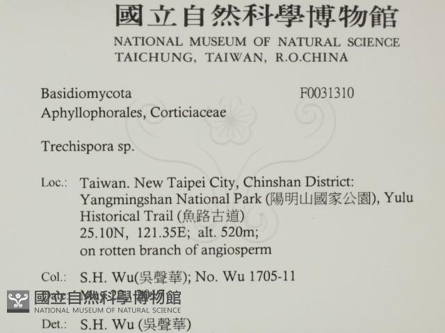 登錄號:F0031310藏品圖，第2張