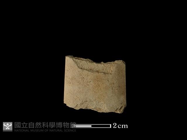 矛鏃形器藏品圖，第1張