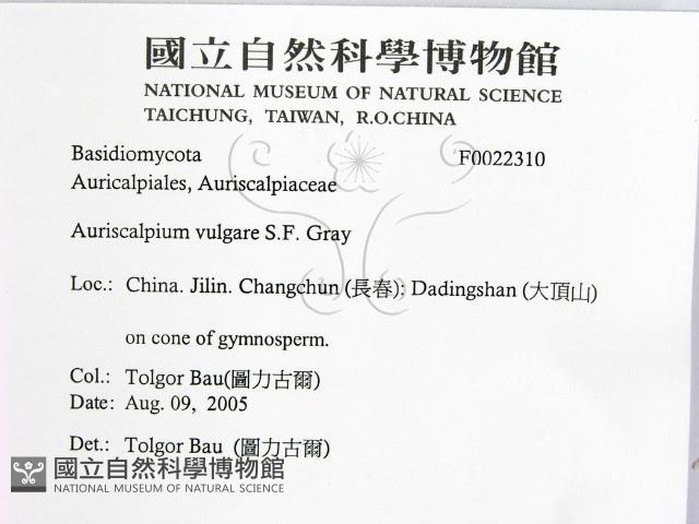 登錄號:F0022310藏品圖，第2張