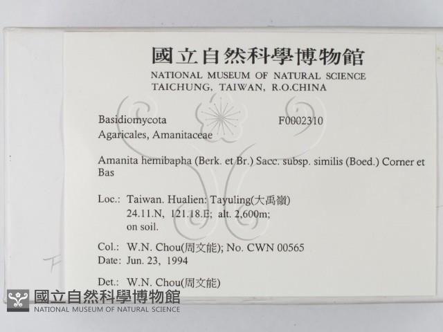 登錄號:F0002310藏品圖，第2張