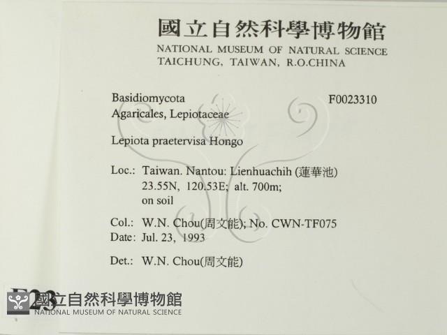 登錄號:F0023310藏品圖，第2張
