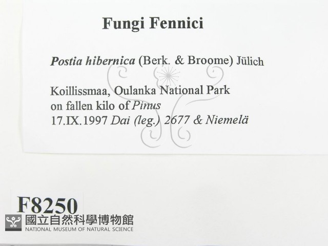登錄號:F0008250藏品圖，第2張