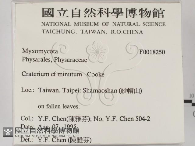 登錄號:F0018250藏品圖，第2張