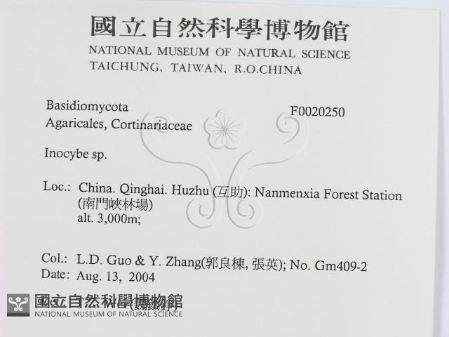 登錄號:F0020250藏品圖，第2張