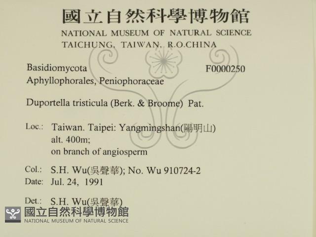 登錄號:F0000250藏品圖，第2張