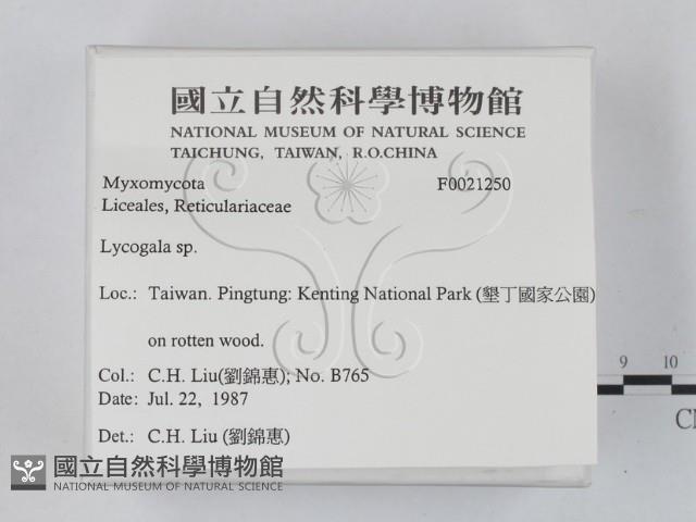 登錄號:F0021250藏品圖，第2張