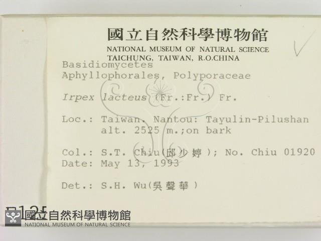 登錄號:F0001250藏品圖，第2張