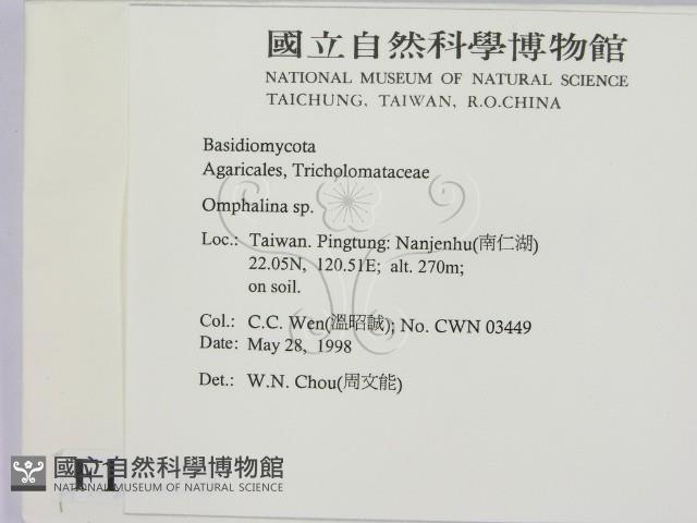 登錄號:F0011250藏品圖，第2張