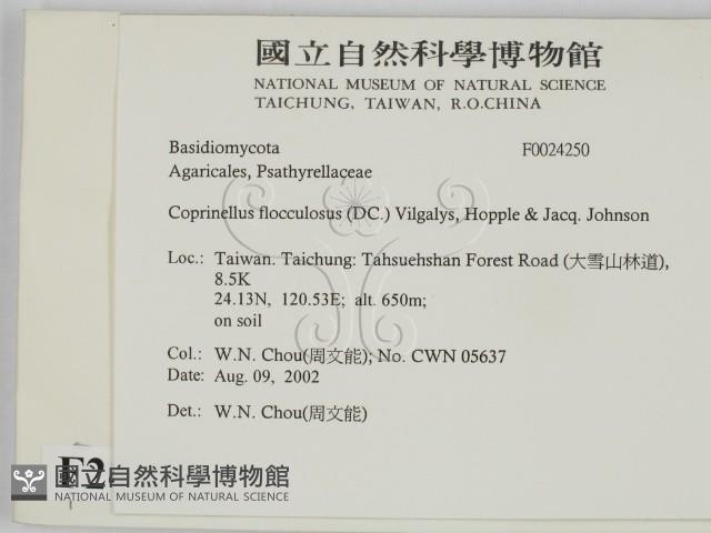 登錄號:F0024250藏品圖，第2張