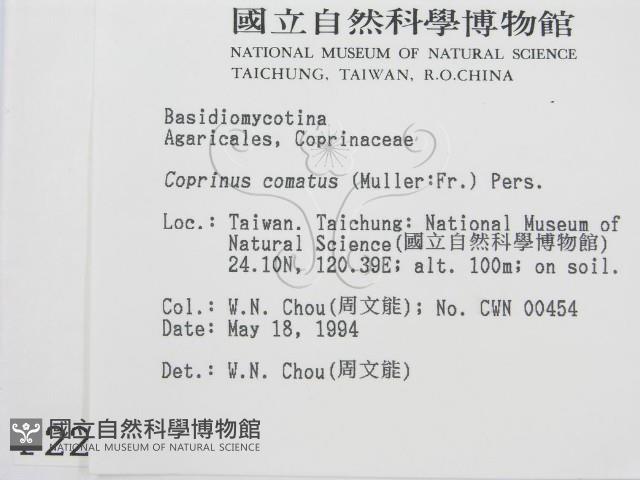 登錄號:F0002250藏品圖，第2張