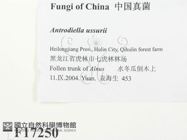 登錄號:F0017250藏品圖，第2張