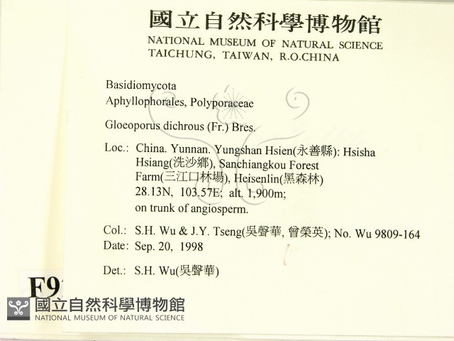 登錄號:F0009250藏品圖，第2張