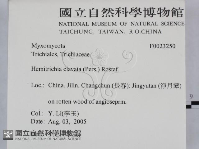 登錄號:F0023250藏品圖，第2張