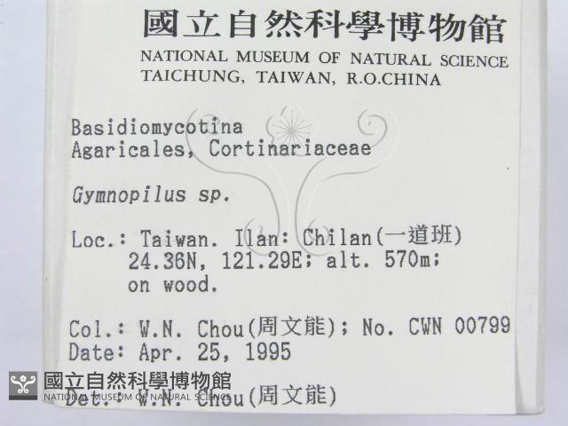 登錄號:F0003250藏品圖，第2張