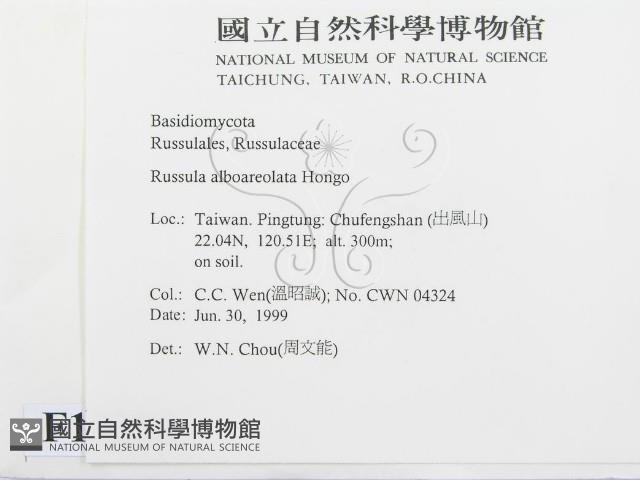 登錄號:F0013250藏品圖，第2張