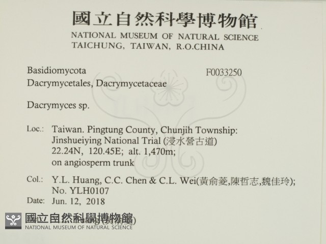 花耳屬藏品圖，第2張