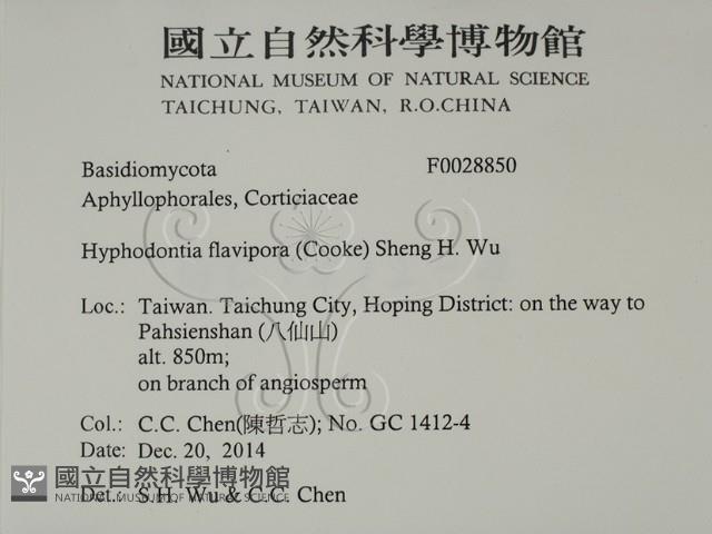 登錄號:F0028850藏品圖，第2張